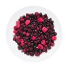 LyoFood | Wild berry mix | Frysetørret mad | 30g
