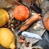 Opinel No 08 foldekniv i kulstofstål