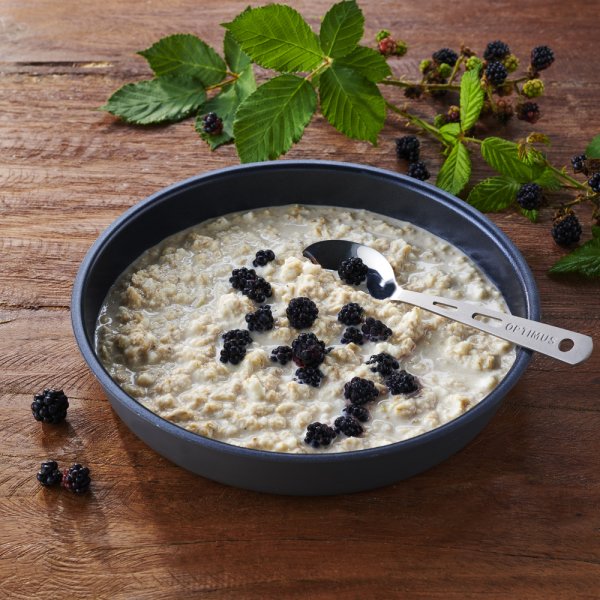 Katadyn Emergency Food | Frysetørret mad | Vegetarisk | Måltidspakke| 13 650 g