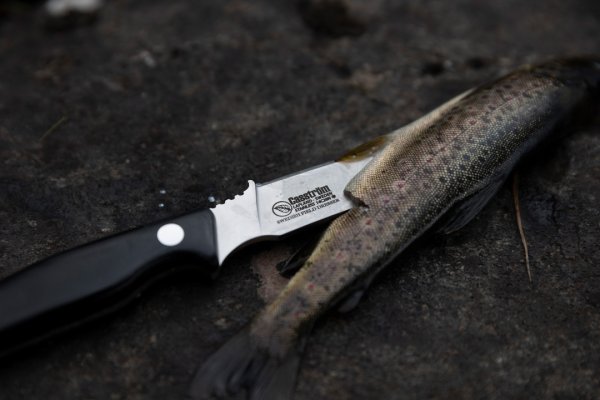 Casström Swedish Field Dresser, stabiliseret masurbirk, Kydex